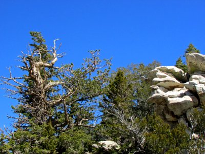 Great Basin NP in NV