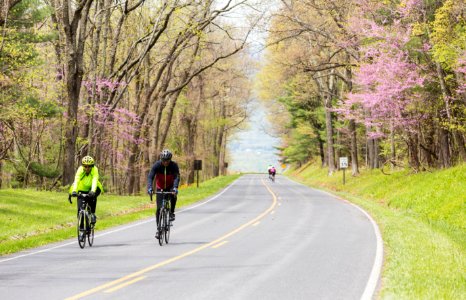 "Ride the Drive" Event