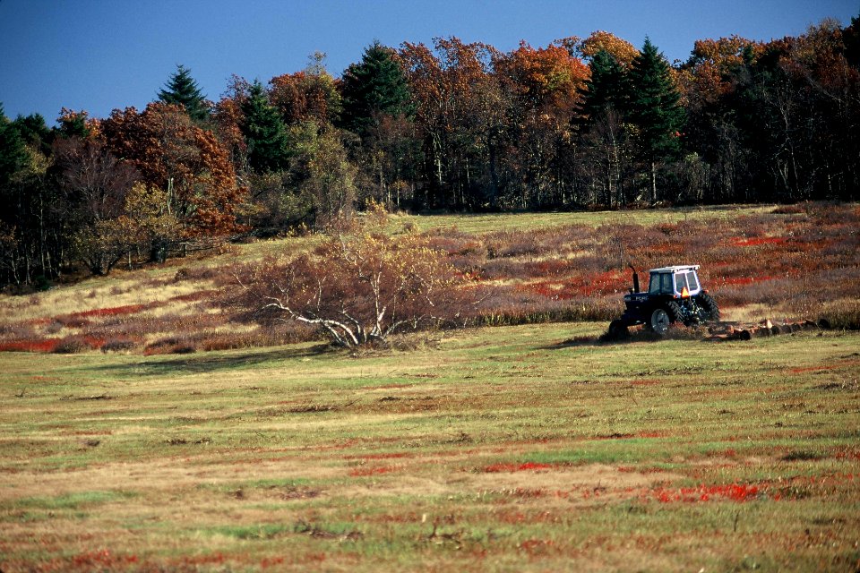 Mowing Big Meadows