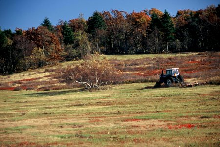 Mowing Big Meadows photo