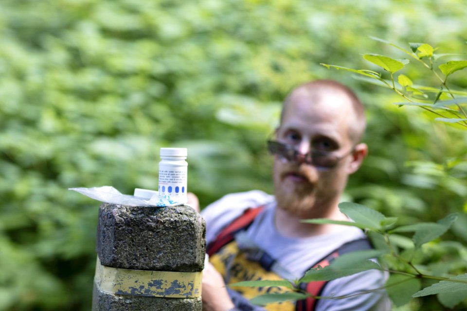 Water Quality Testing Activity