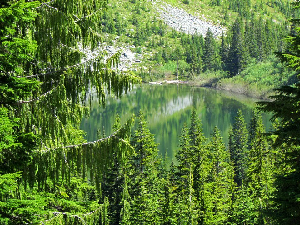 Mt. Rainier NP in WA