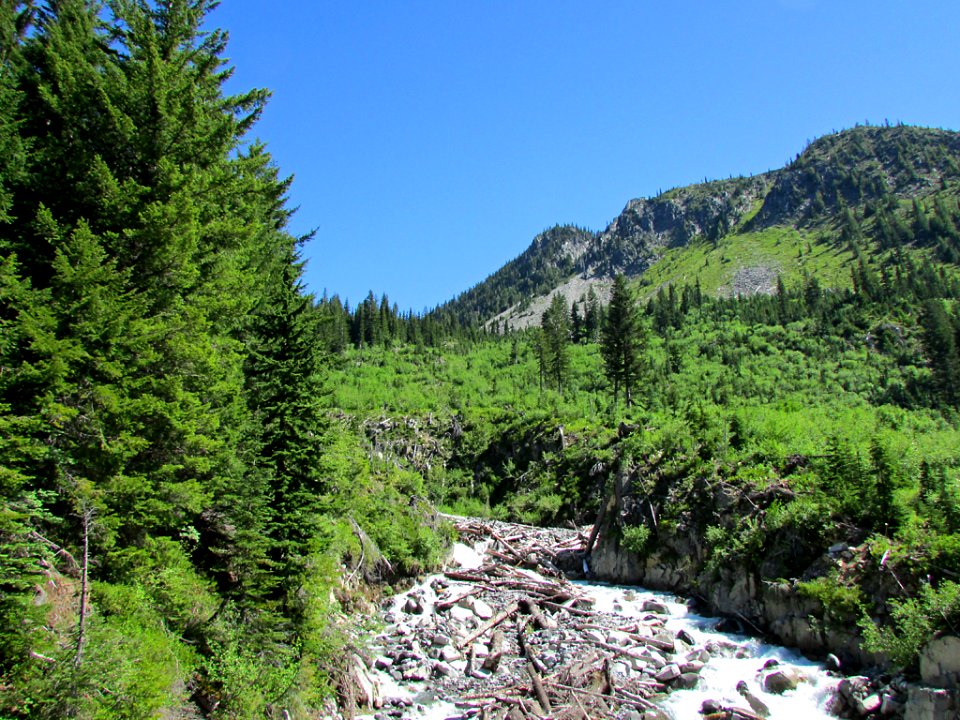 Mt. Rainier NP in WA