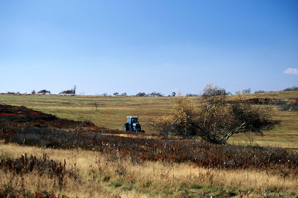 Mowing Big Meadows