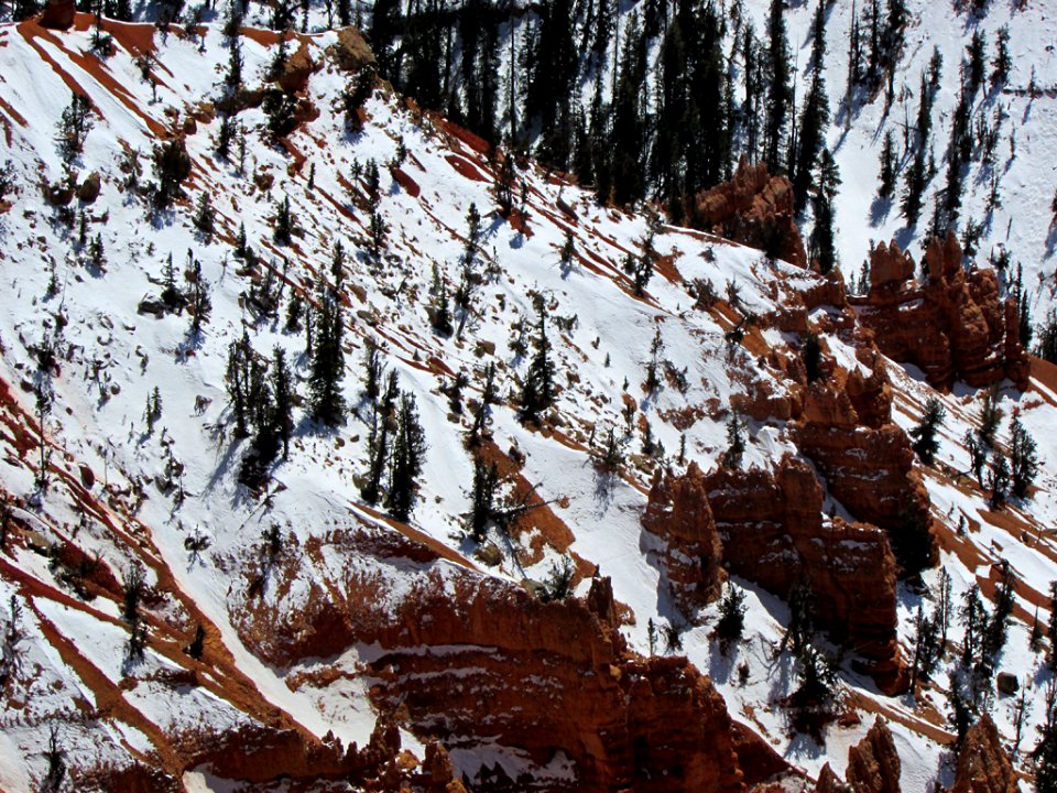 Cedar Breaks NM at Dixie NF in UT