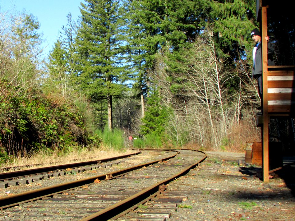 Chelatchie Prairie Railroad at Moulton Falls in WA