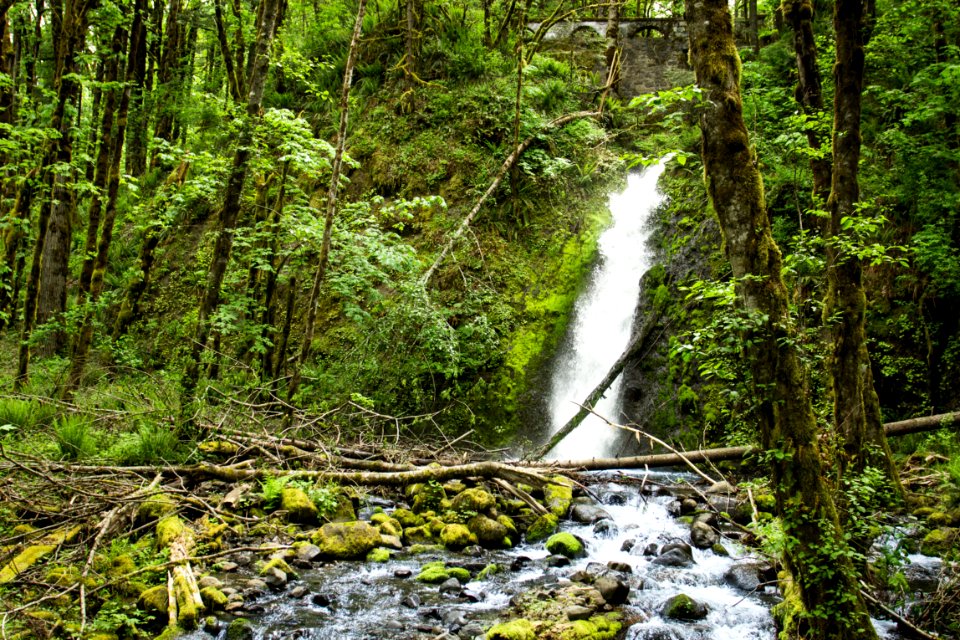 Ruckel Creek Waterfall, Oregon