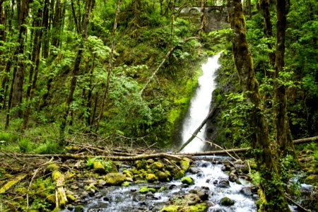 Ruckel Creek Waterfall, Oregon photo