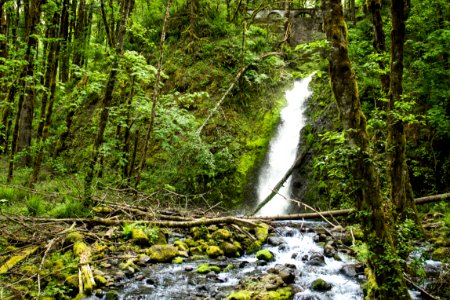Ruckel Creek Waterfall, Oregon