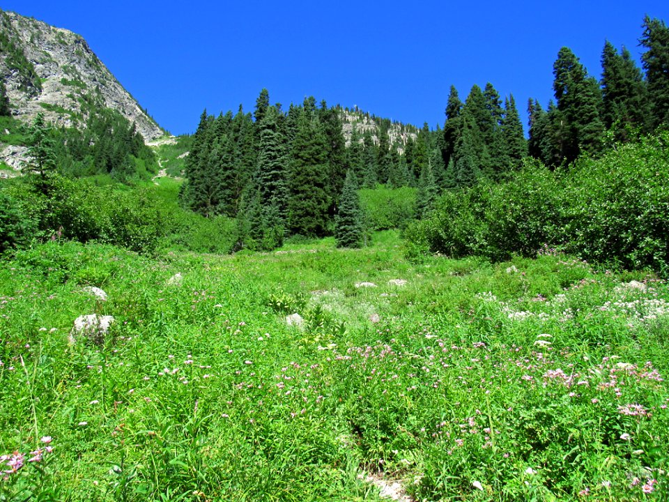 Maple Pass Trail at North Cascades NP in WA