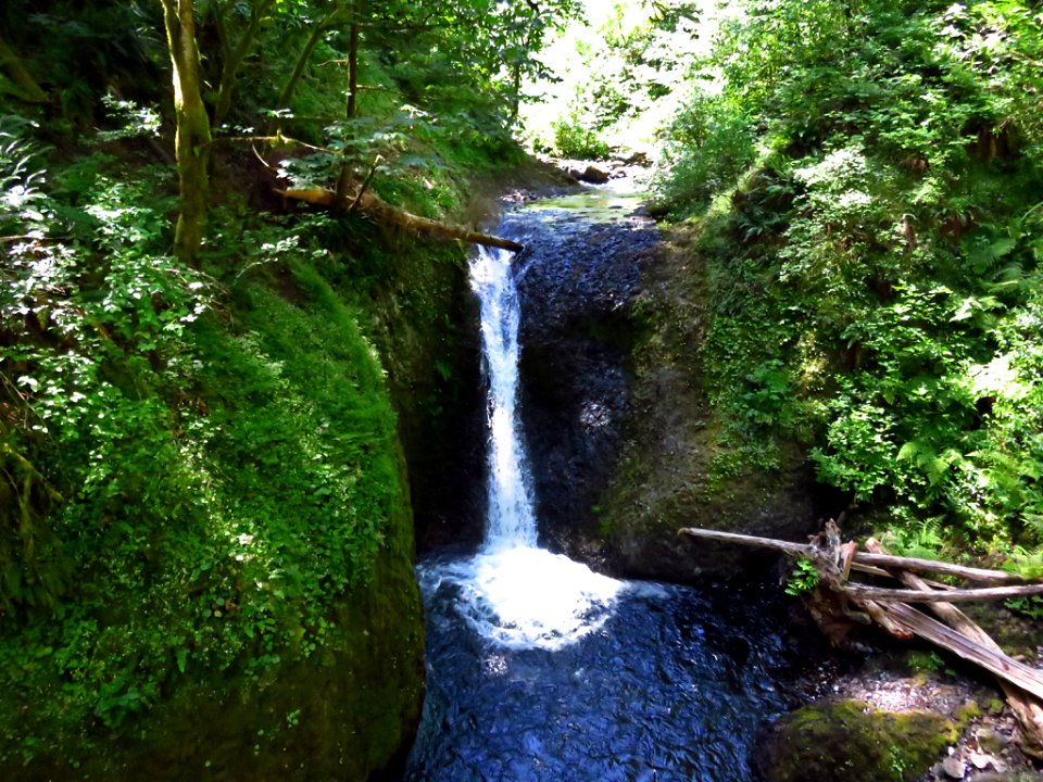 Oneonta Creek at Columbia River Gorge in Oregon