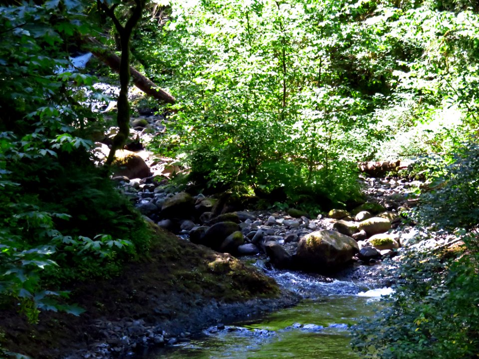 Oneonta Creek at Columbia River Gorge in Oregon