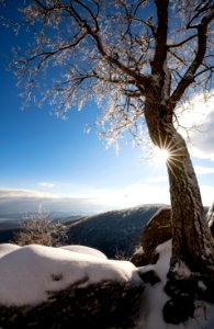 Winter Sunshine at Hazel Mountain photo