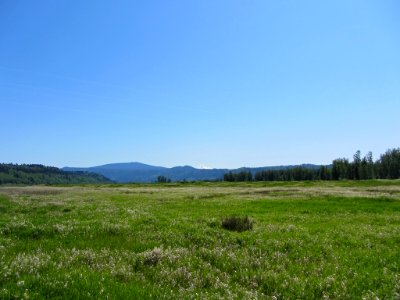 Steigerwald Lake NWR in WA