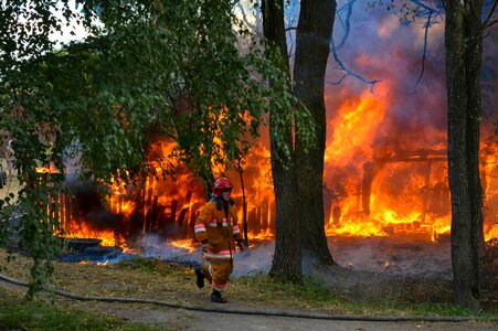 Trees burn stew photo