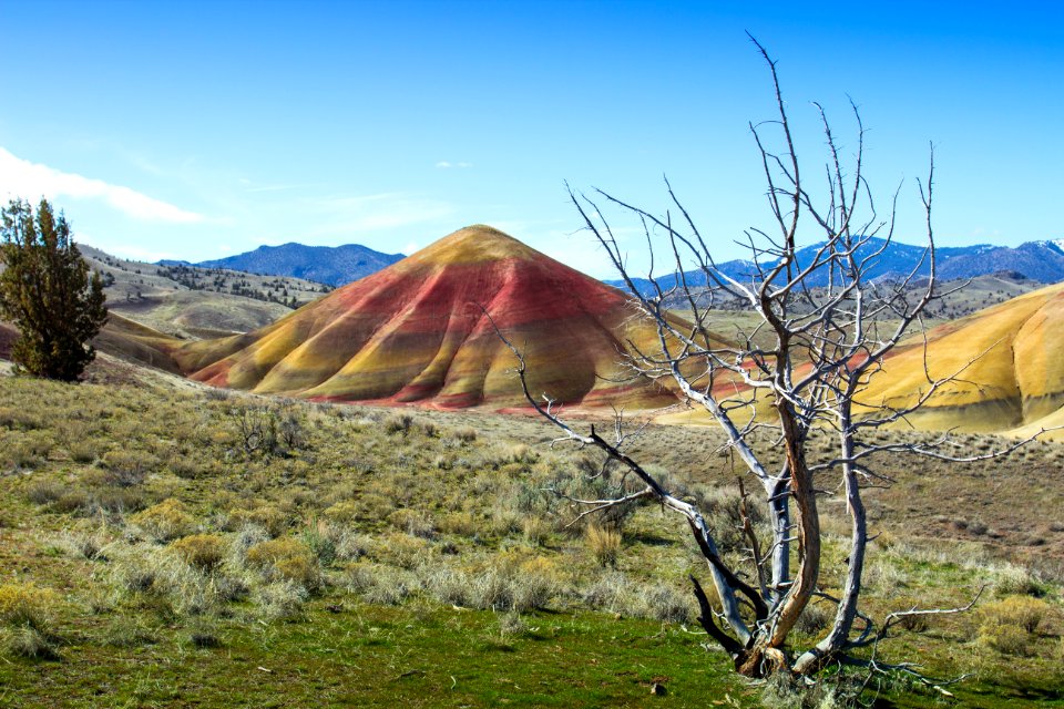 Painted Hills, Oregon