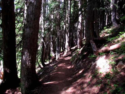 Maple Pass Trail at North Cascades NP in WA