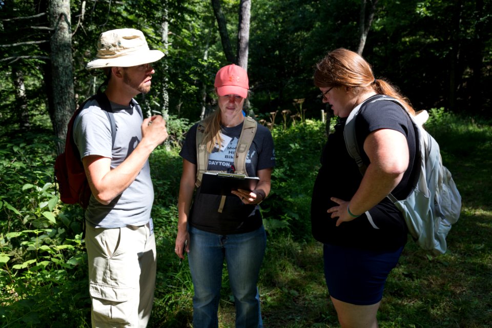 Water Quality Testing Activity