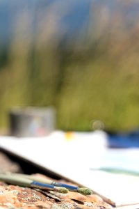 Artist-in-Residence - Summer 2017