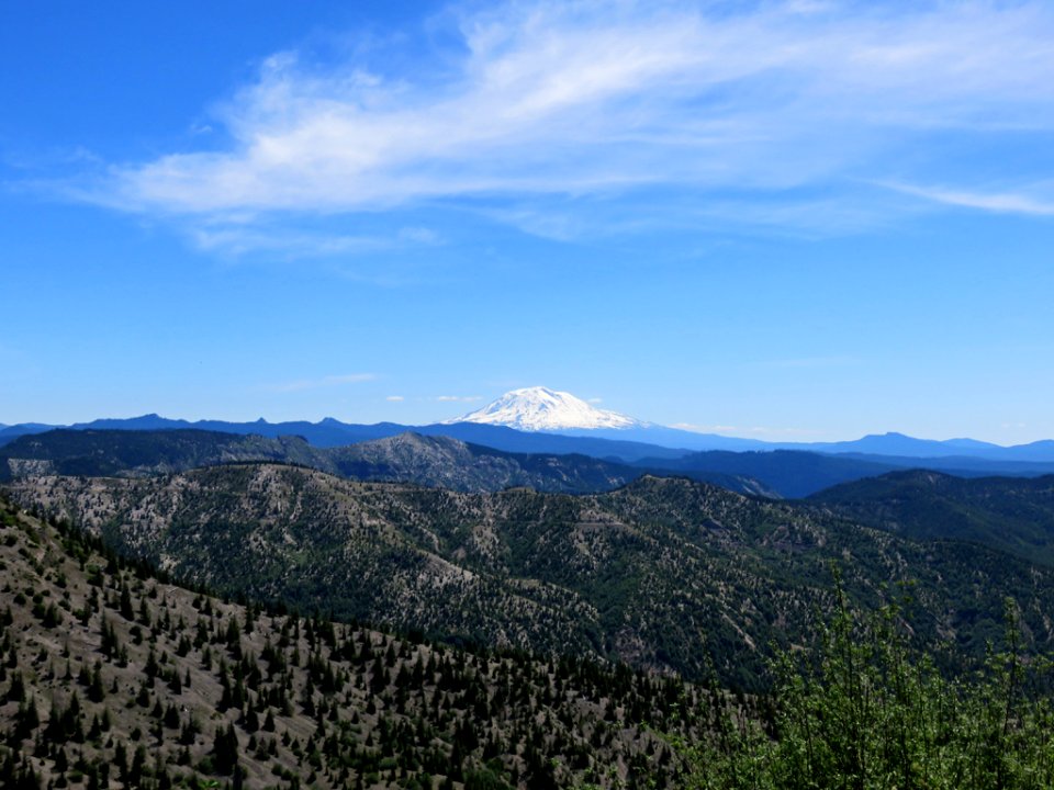 Mt. Adams in WA