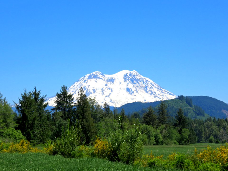 Mt. Rainier NP in WA photo