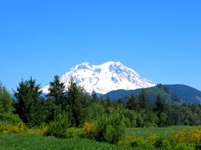 Mt. Rainier NP in WA photo