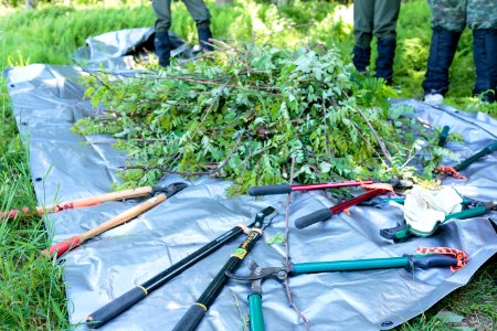 Groundwork RVA's Green Team