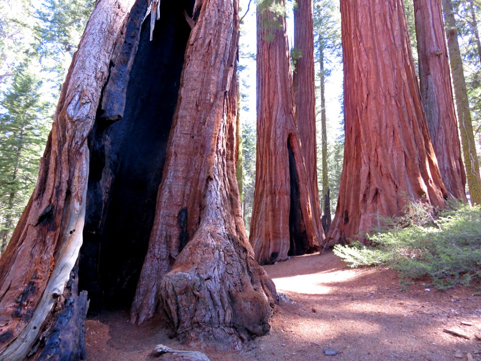 Kings Canyon NP in CA