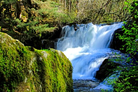 Alsea Waterfalls, Oregon photo