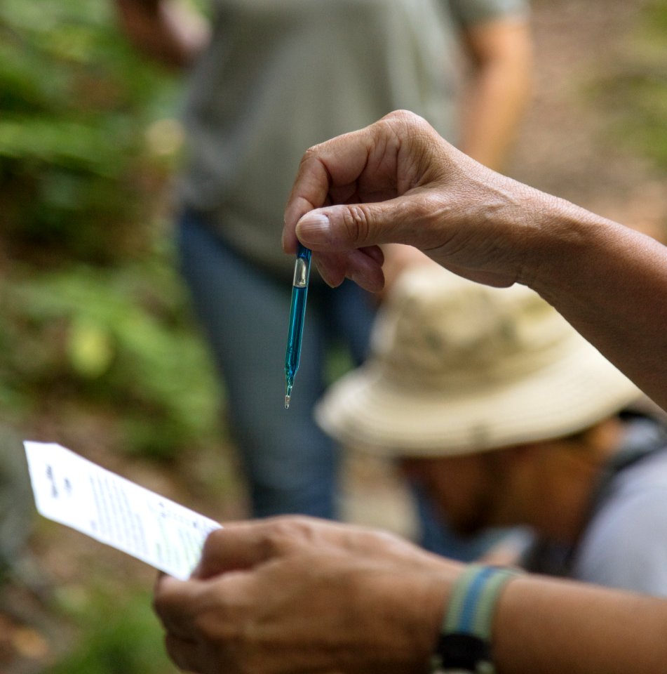 Water Quality Testing Activity