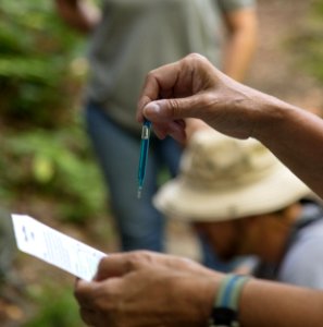 Water Quality Testing Activity