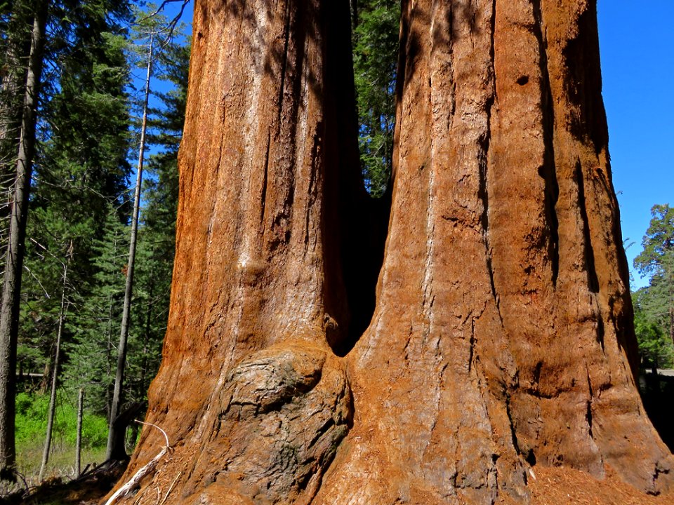 Kings Canyon NP in CA