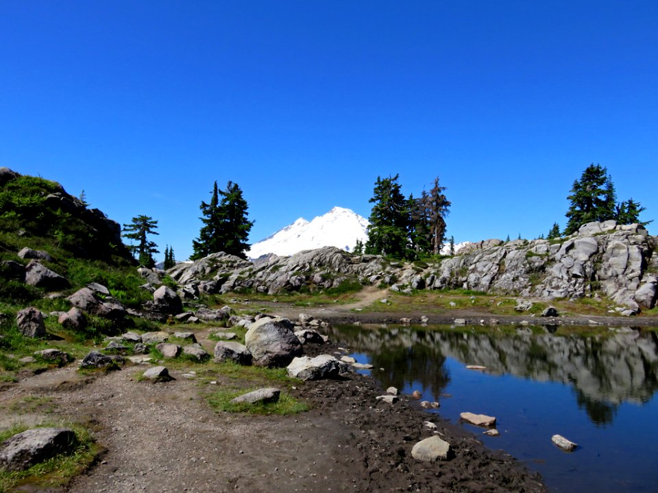 Mt. Baker-Snoqualmie NF in WA