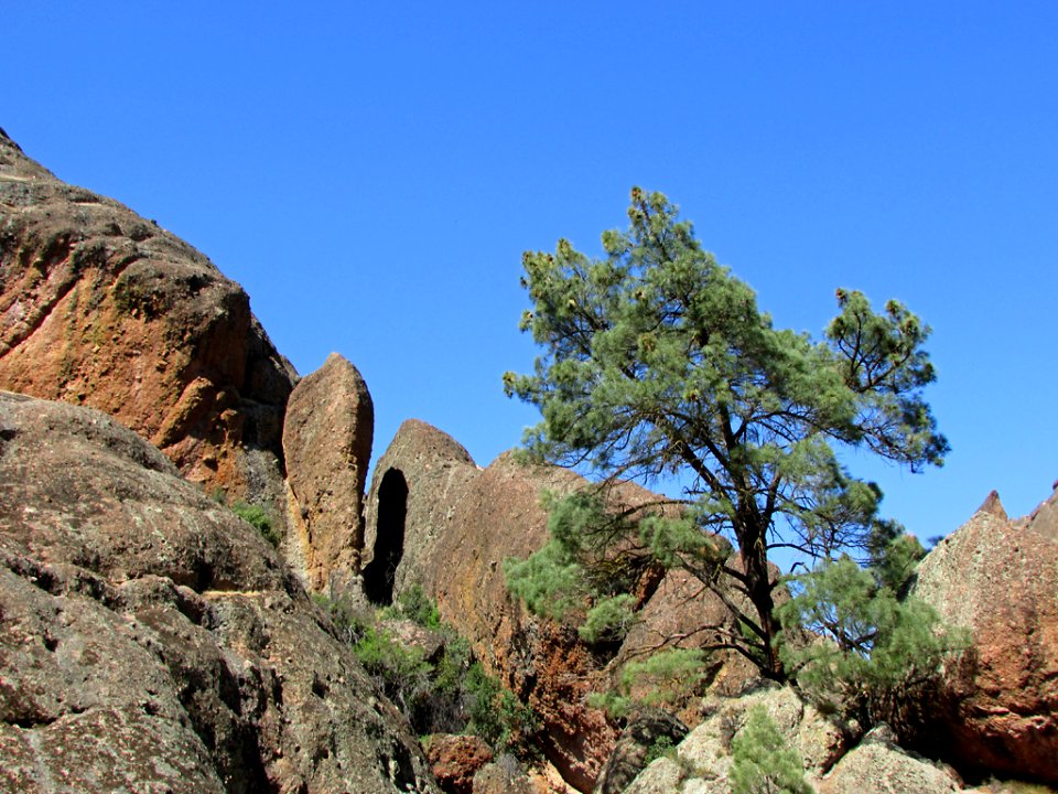 Pinnacles NP in CA