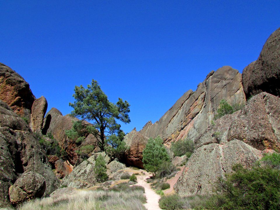 Pinnacles NP in CA