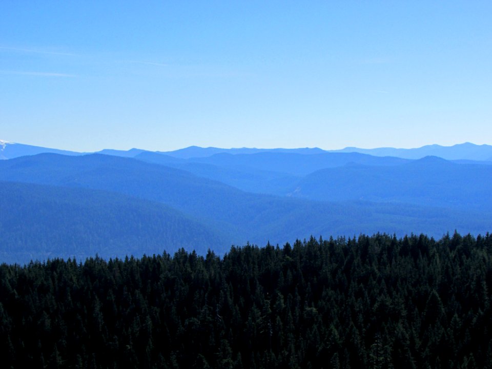View from Larch Mountain at Columbia River Gorge in OR