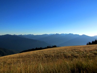 Hurricane Ridge at Olympic NP in WA