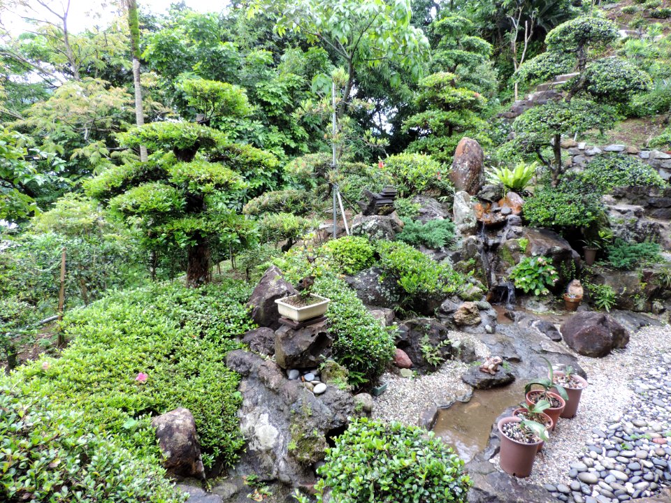DSCN0017