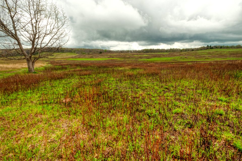 Big Meadows Gree-Up Day 24
