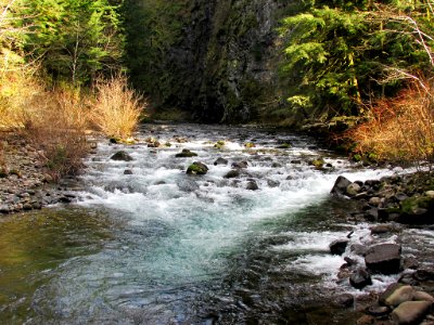 Canyon Creek in Washington photo