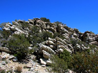 Great Basin NP in NV