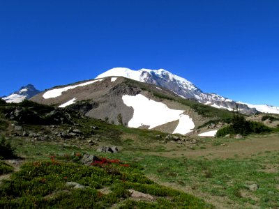 Mt. Rainier NP in WA photo