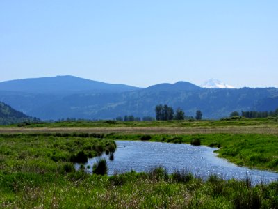 Steigerwald Lake NWR in WA