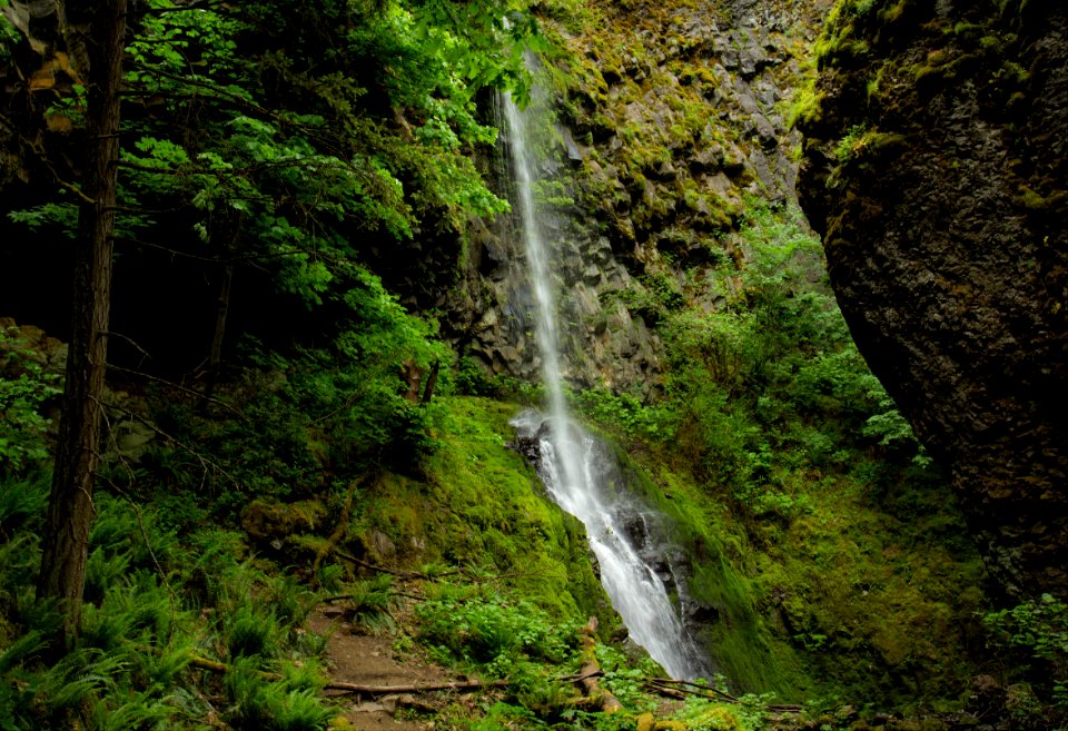 Cabin Creek Waterfall, Oregon