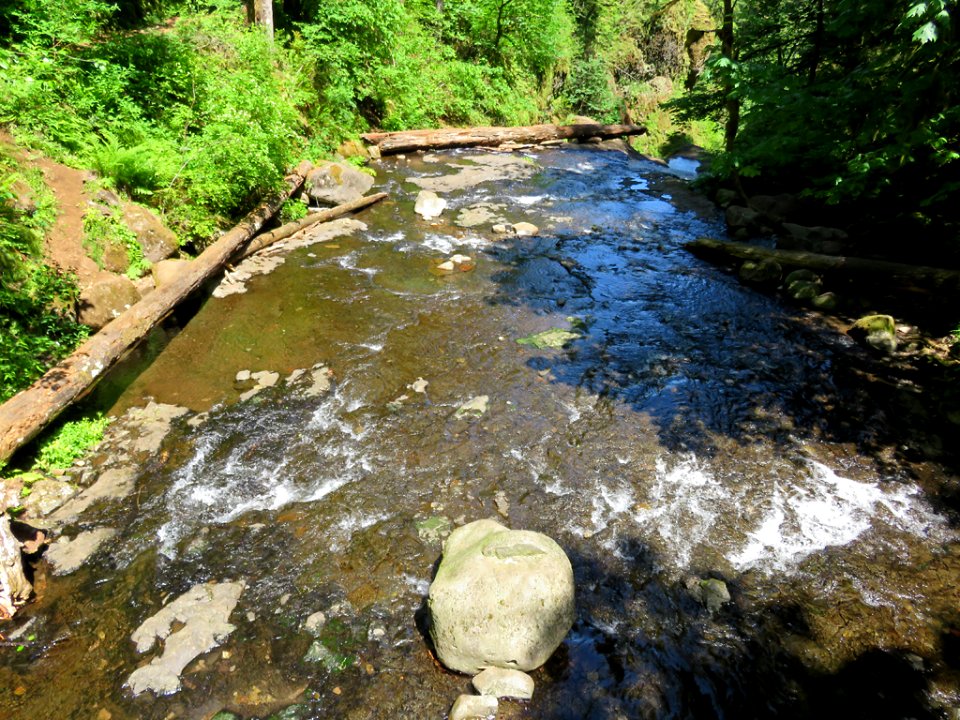 Oneonta Creek at Columbia River Gorge in Oregon