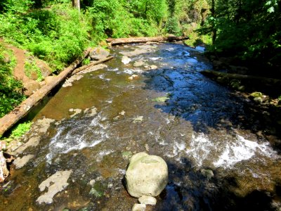 Oneonta Creek at Columbia River Gorge in Oregon