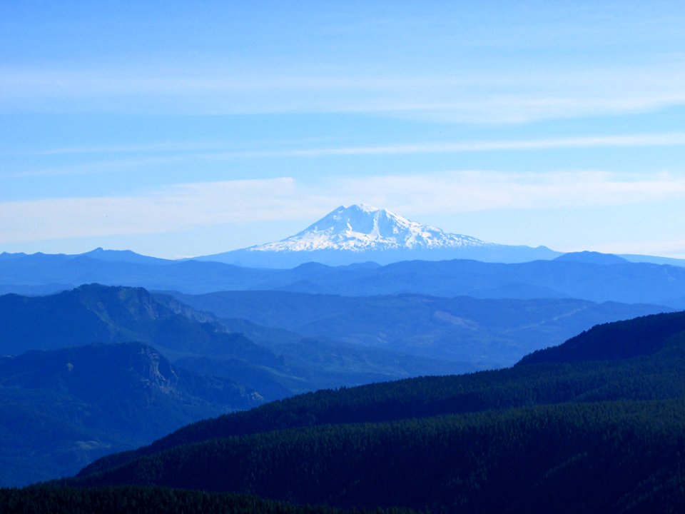 View of Mt. Adams from Larch Mt. in OR