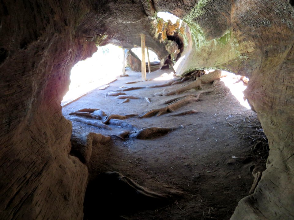Kings Canyon NP in CA