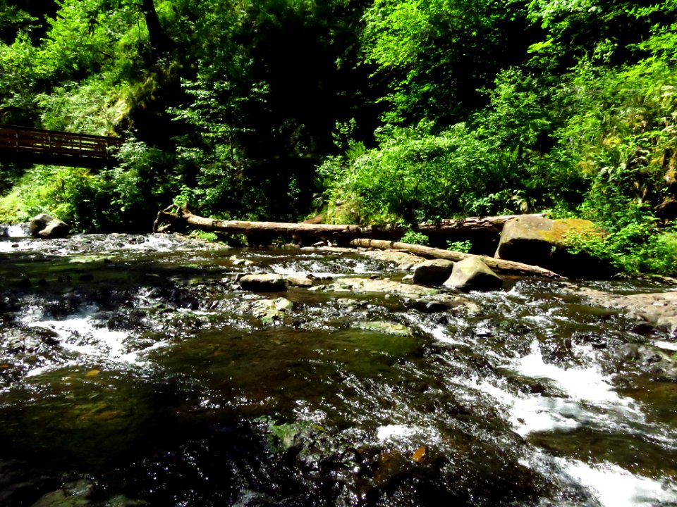 Oneonta Creek at Columbia River Gorge in Oregon