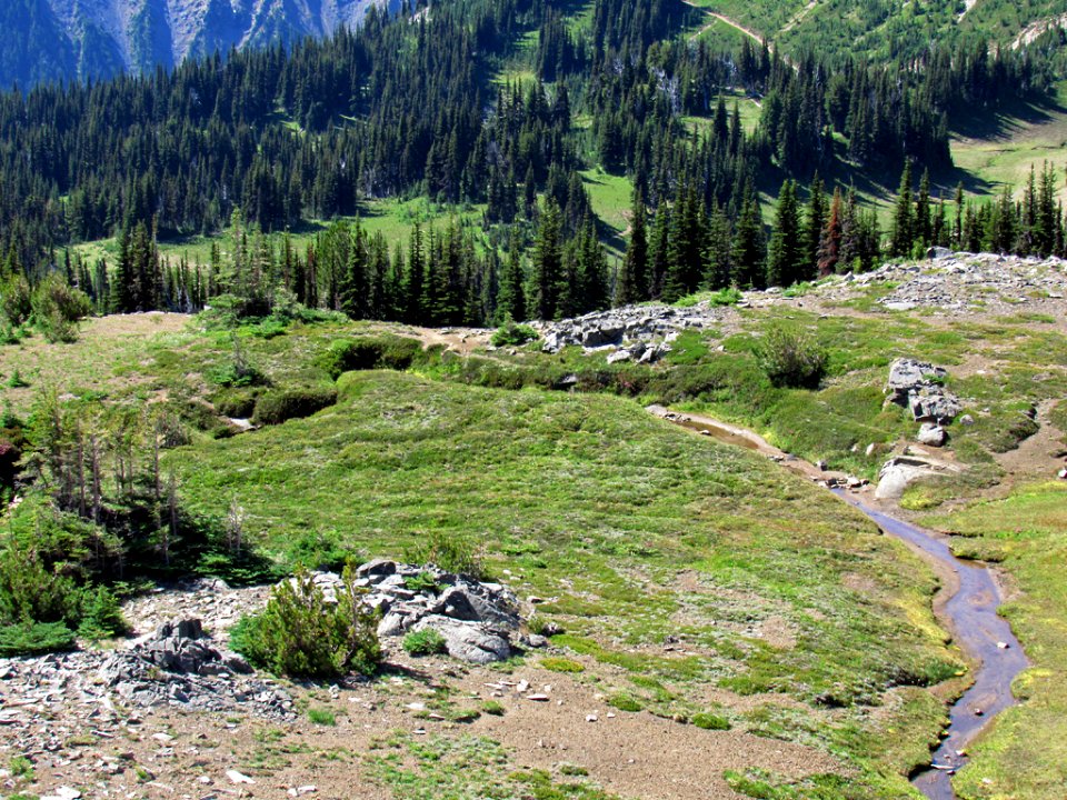 Mt. Rainier NP in WA